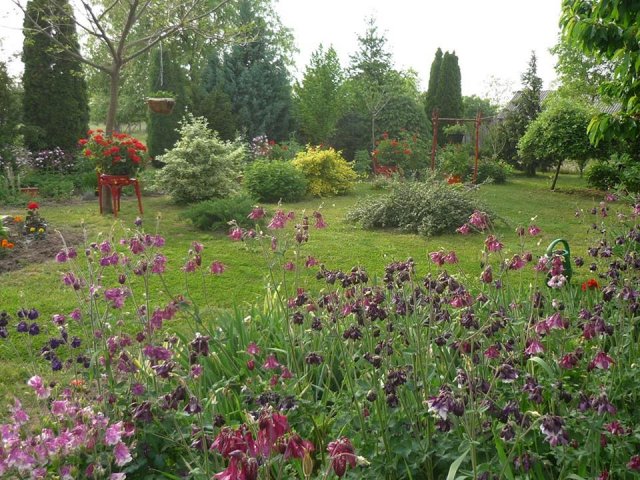 Pappné Farkucza Andrea kertje 02